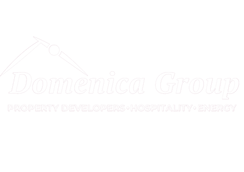 Domenica Group logo